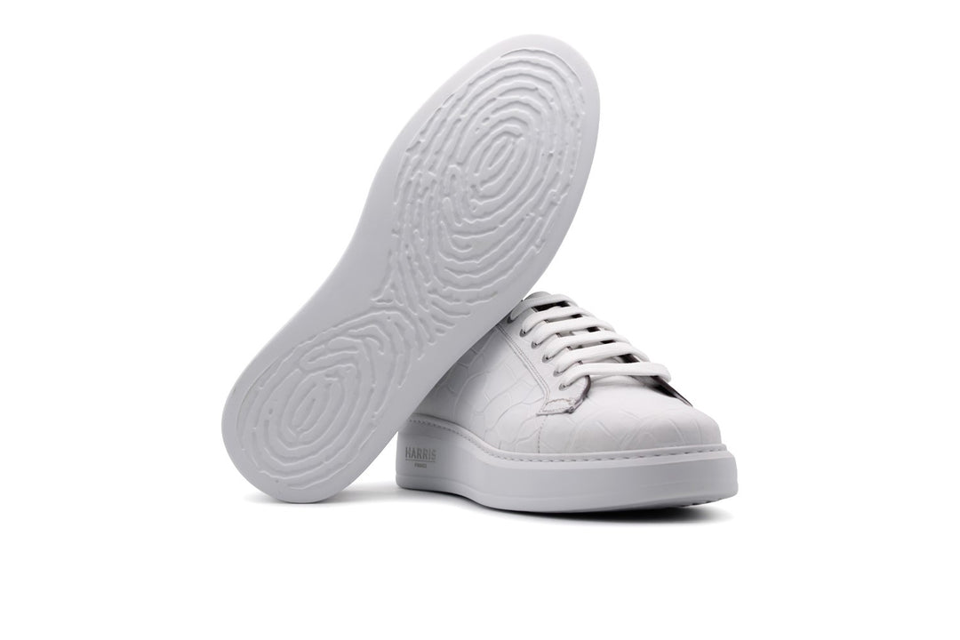 Baskets Crocodrillo
