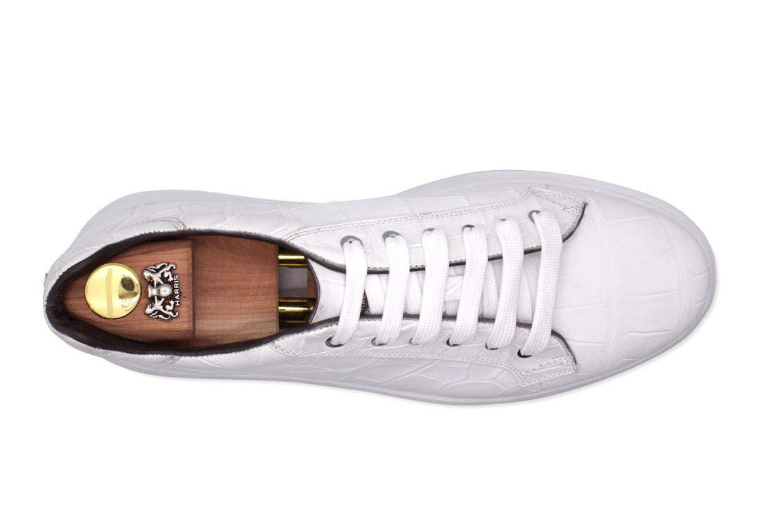 Baskets Crocodrillo