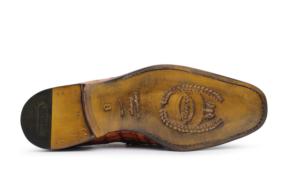 Coccordillo mocasín