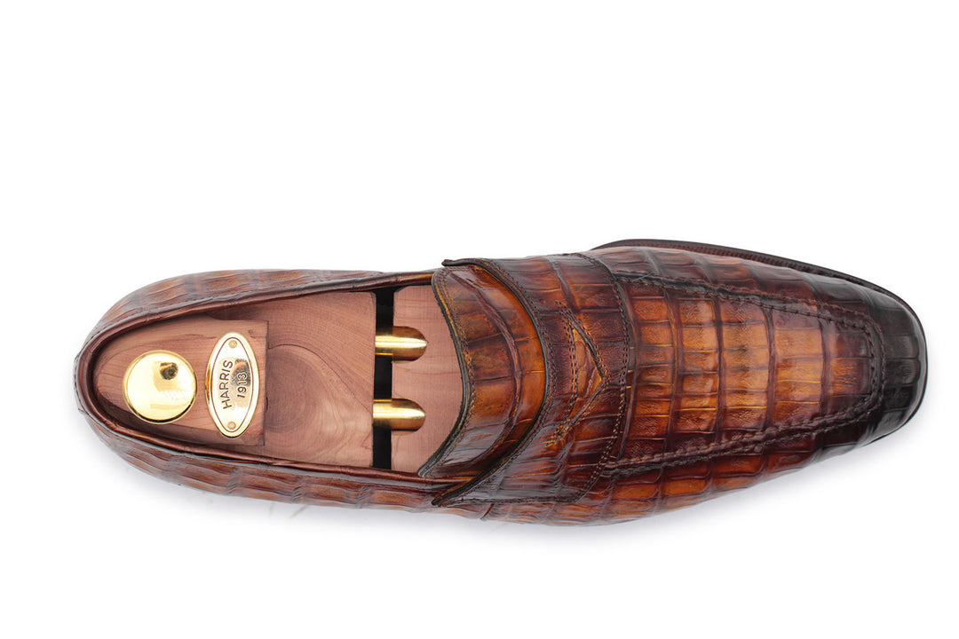 Coccordillo mocasín