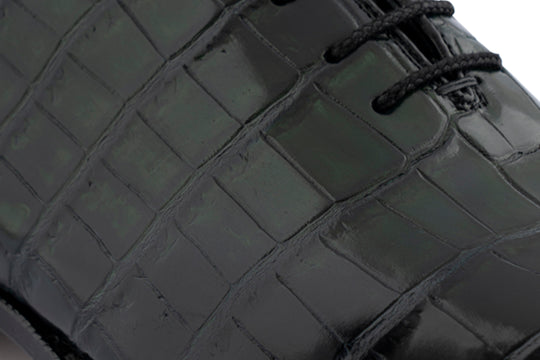 French in real crocodile