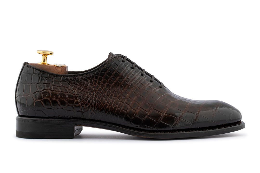 French in crocodile