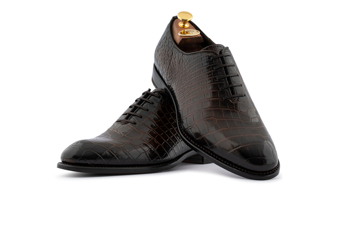 French in crocodile