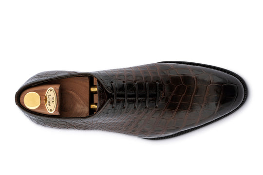 French in crocodile