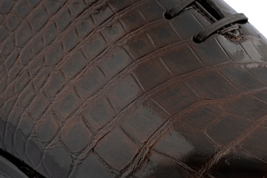 French in crocodile