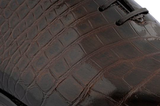 French in crocodile