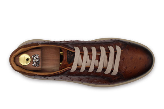 Sneakers aus bedrucktem Leder mit Straußeneffekt