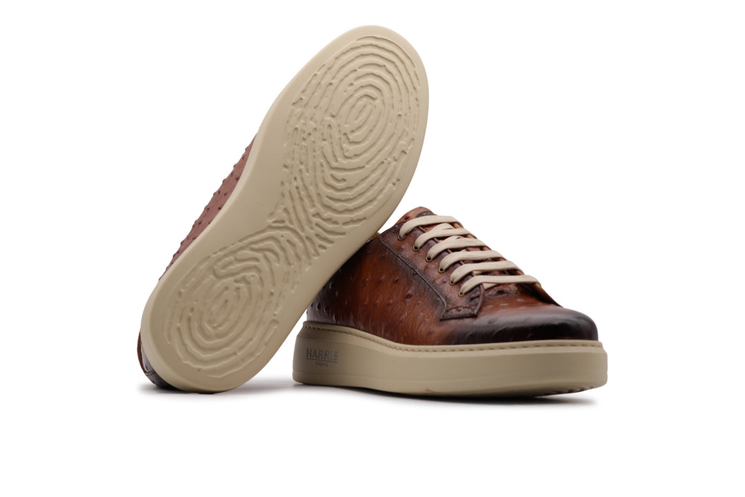 Sneakers aus bedrucktem Leder mit Straußeneffekt