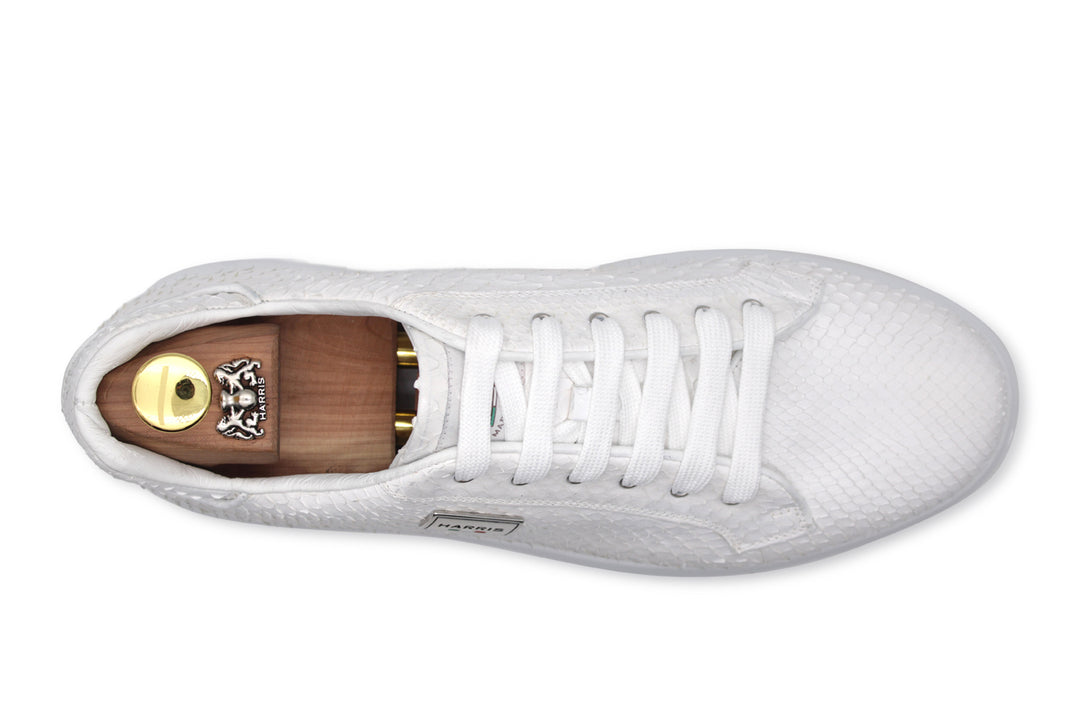 Sneakers in pitone